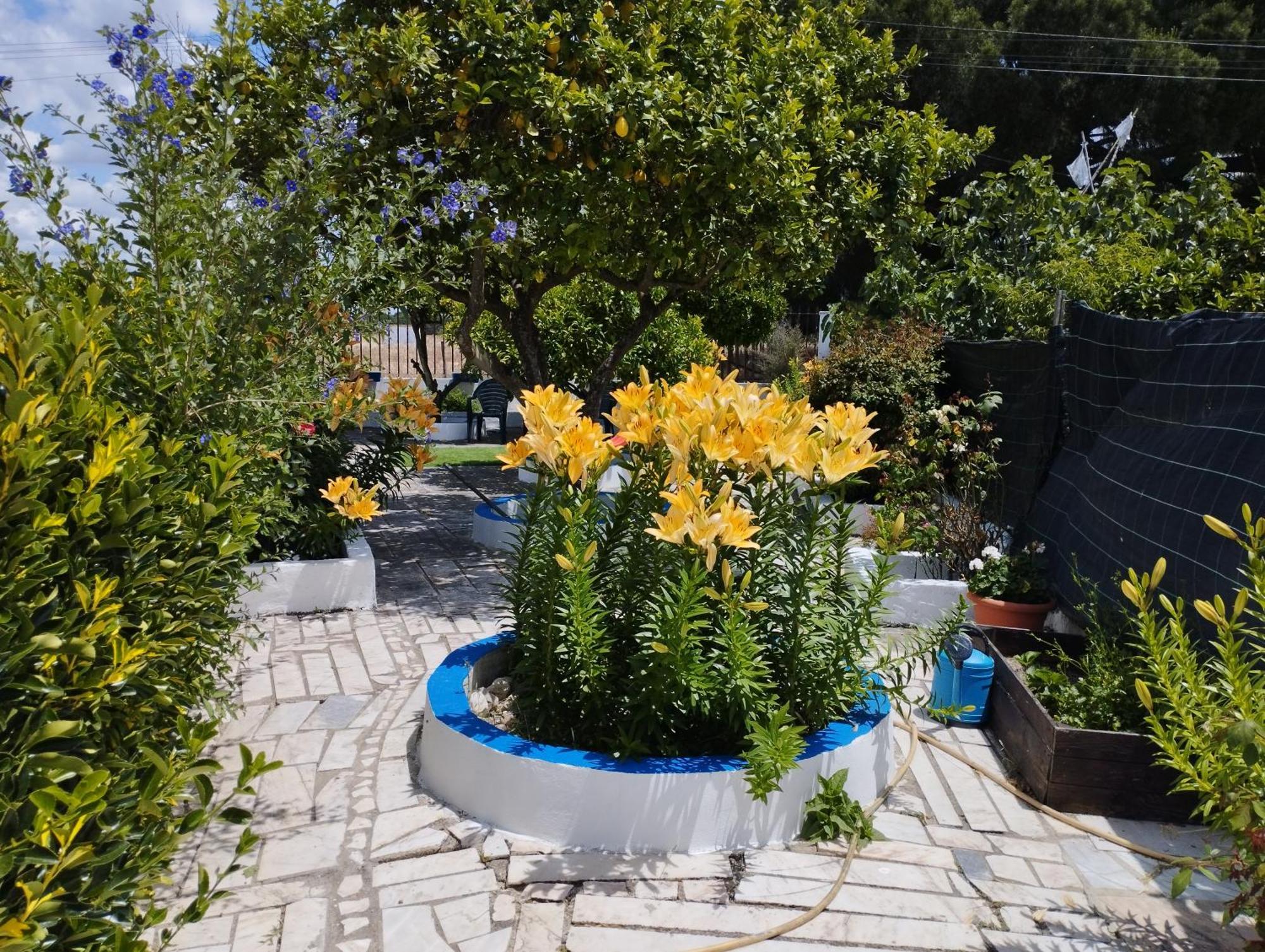 Monte Sol Nascente Villa Grândola Kültér fotó