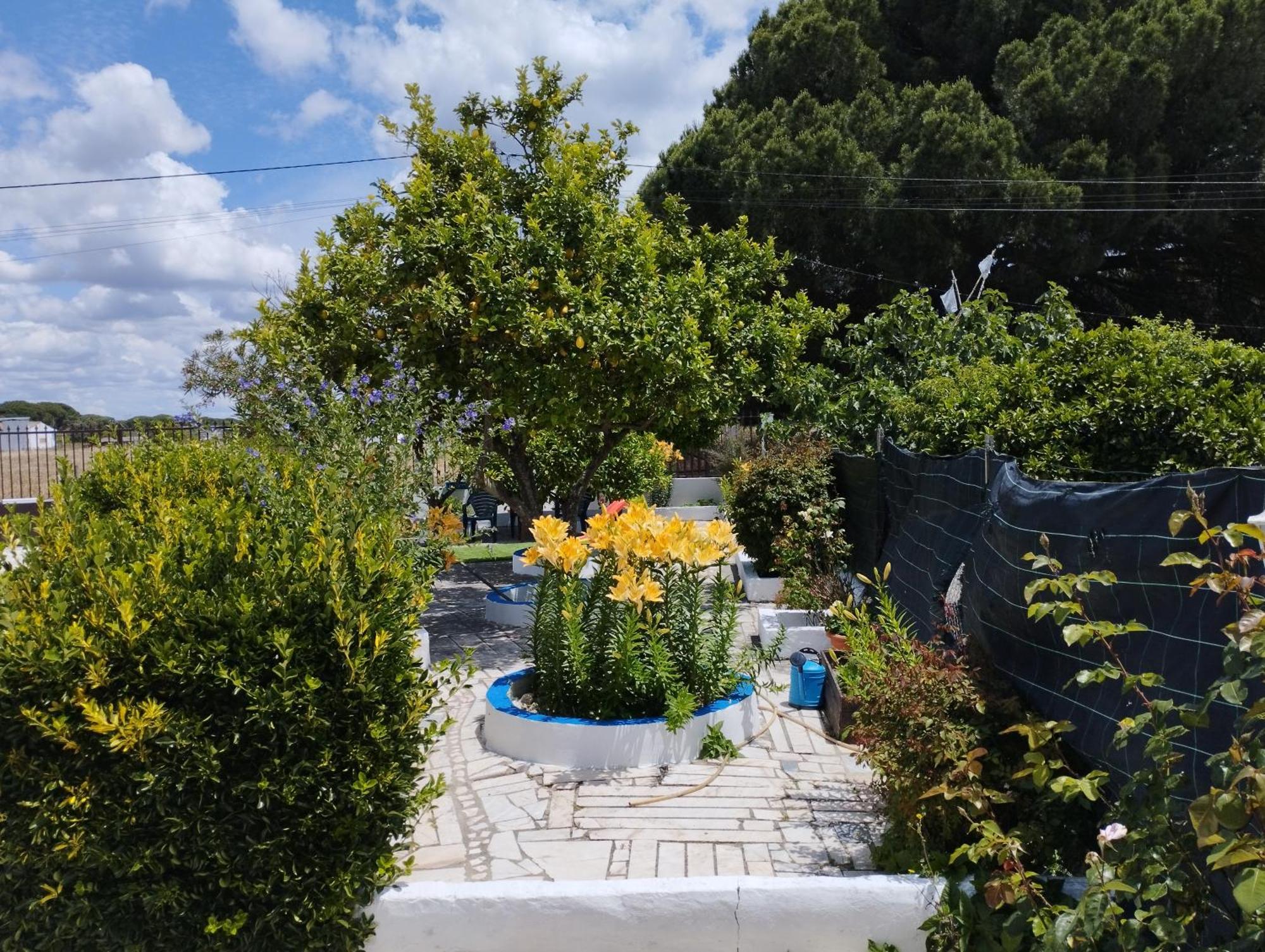 Monte Sol Nascente Villa Grândola Kültér fotó